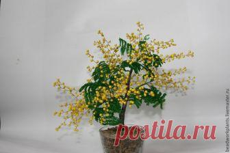 Как сделать мимозу из бисера Сегодня я хочу показать, как сплести из бисера мимозу, обладающую высокой степенью сходства с оригиналом. Схему плетения и порядок расположения деталей я продемонстрирую на примере одной веточки.