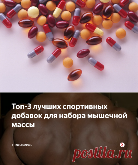 Топ-3 лучших спортивных добавок для набора мышечной массы | fitnechannel | Яндекс Дзен