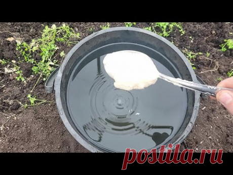 1 ложку на ведро воды и земля как новая, плодородная, здоровая, проливаю землю для большого урожая