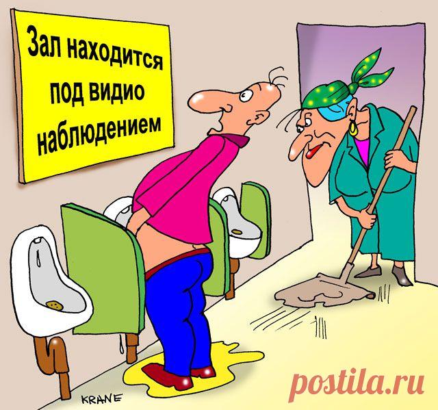 Че так смотришь? | Смехопанорама