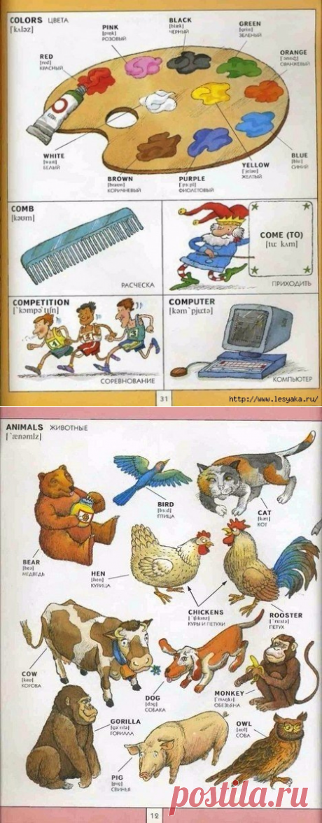 Полезная визуальная лексика английского языка.