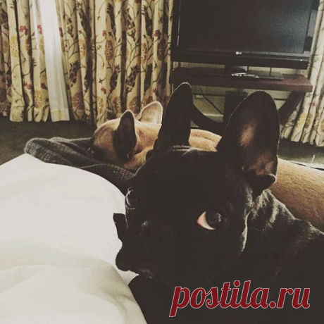 (2) Facebook