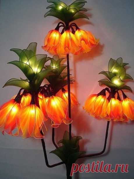 Сарочка Черныш
Израиль, Petah Tikva