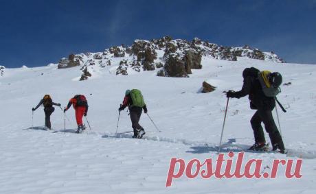 Ски-тур: лыжи для путешествий