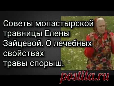 Советы монастырской травницы Елены Зайцевой. О лечебных свойствах травы спорыш.