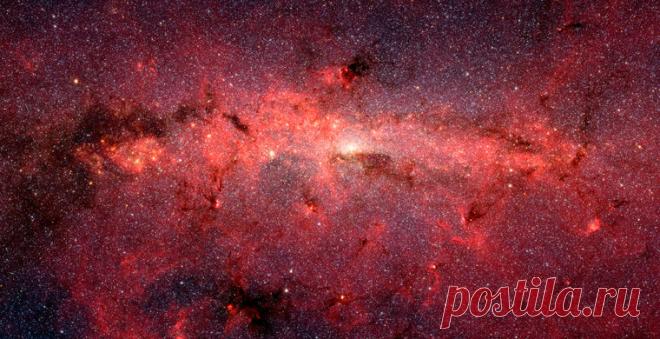 «Эволюция. Все из ничего» / Путешествия / Моя Планета