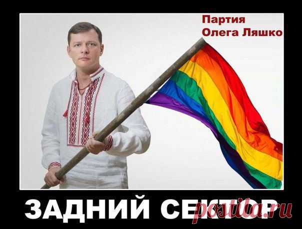 Украинские приколы. Новая серия / Писец - приколы интернета