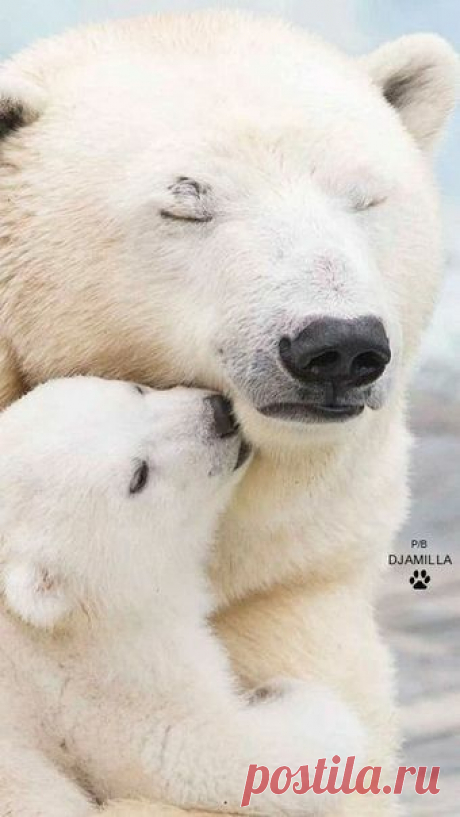 (403) Pinterest