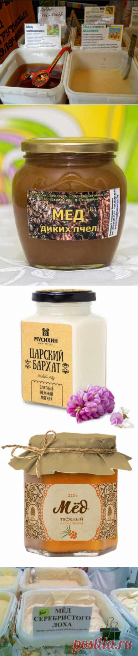 Несуществующие сорта меда: сахар и ароматизаторы вместо меда на рынке | Тысяча и одна идея
