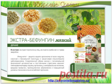 Вы знаете чем полезна Чага? и где можно найти "живую" чагу..... Действительно ли Чага друг и помощник нашему здоровью.....
