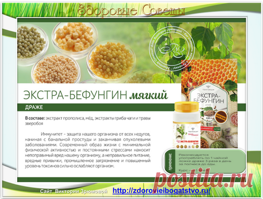 Вы знаете чем полезна Чага?  и где можно найти "живую" чагу..... Действительно ли Чага друг и помощник нашему здоровью.....