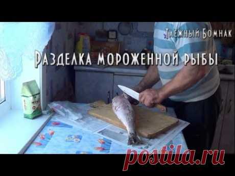 Разделка замерзшей рыбы. Таежный Бомнак (DVD-совместимо) - YouTube