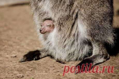 Удачный момент / Приколы