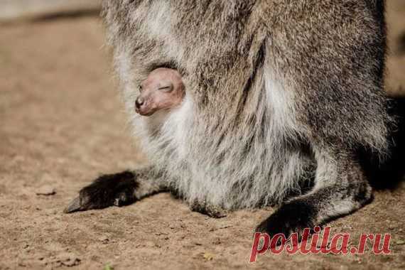 Удачный момент / Приколы