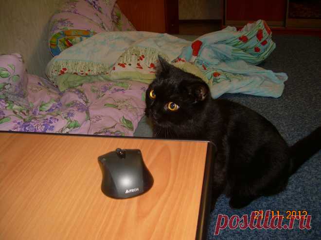 Игрулькин :)