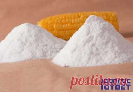 Мальтодекстрин – что это, польза и вред для организма. Фото, состав. Где применяют мальтодекстрин? Использование в спортивном питании, гейнерах.