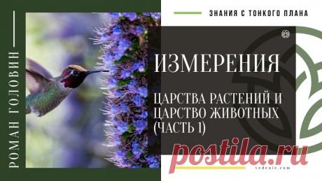 ИЗМЕРЕНИЯ. Царства растений и Царство животных (ЧАСТЬ 1)
https://youtu.be/VboplHpWCVc
Распространяйте репостами
#царстворастений #царствоживотных #развитиеизмерения #измерения #знаниястонкогоплана