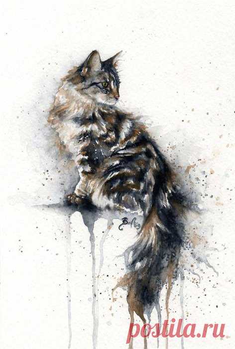 Художник Braden Duncan