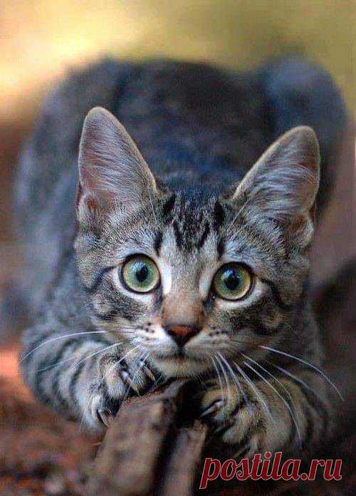 (20+) Carmo Martins | Facebook