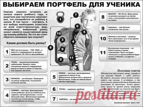 Выбираем портфель для ученика