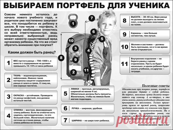 Выбираем портфель для ученика