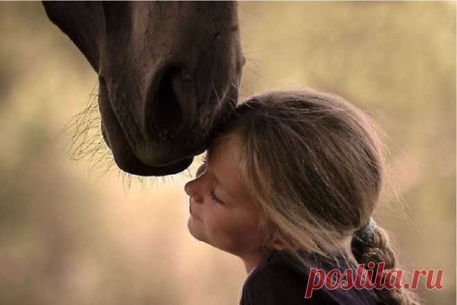 Человек и животные