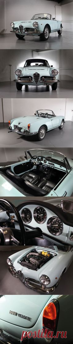 1965 Alfa Romeo Giulia Spider Veloce 1600 / Italy / blue / Pininfarina #alfaromeogiulia