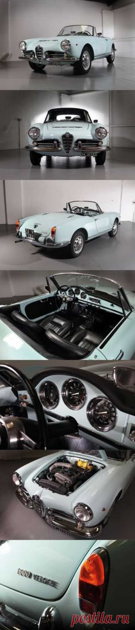 1965 Alfa Romeo Giulia Spider Veloce 1600 / Italy / blue / Pininfarina #alfaromeogiulia