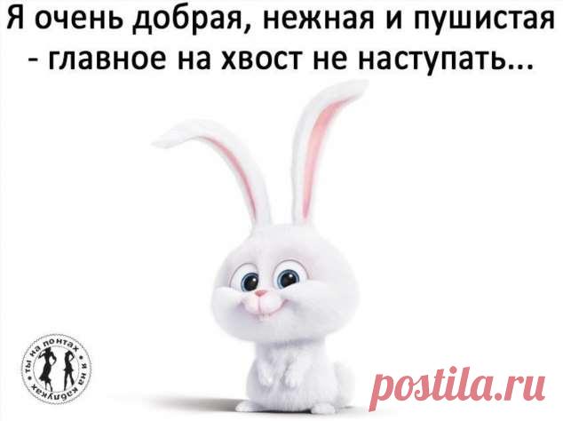 Пуси-пуси юмор для девушек и женщин. Подборка прикольных картинок и фото №ofigennaja-43380324112019 | Офигенная