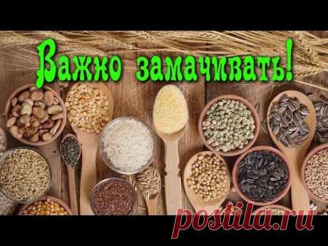 Почему так важно ЗАМАЧИВАТЬ КРУПЫ, ЗЁРНА, ОРЕХИ, БОБОВЫЕ...