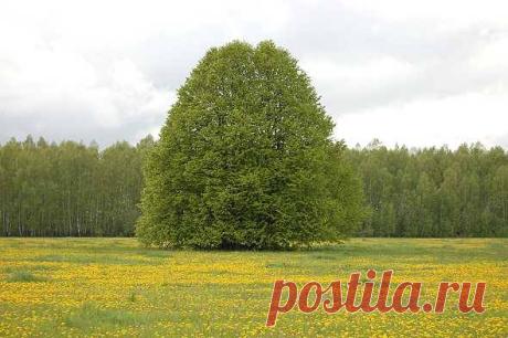 (24) Facebook