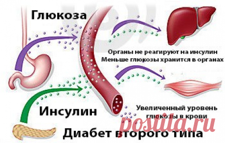 Древний рецепт поможет держать сахар в норме. Или как вылечить сахарный диабет — Копилочка полезных советов