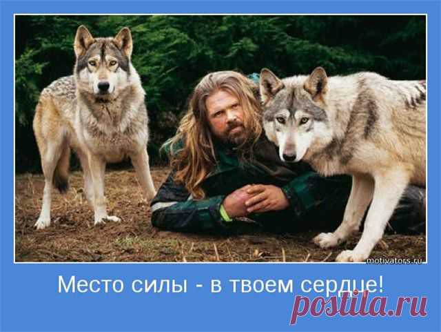 ДОРОГОЙ В НИКУДА.