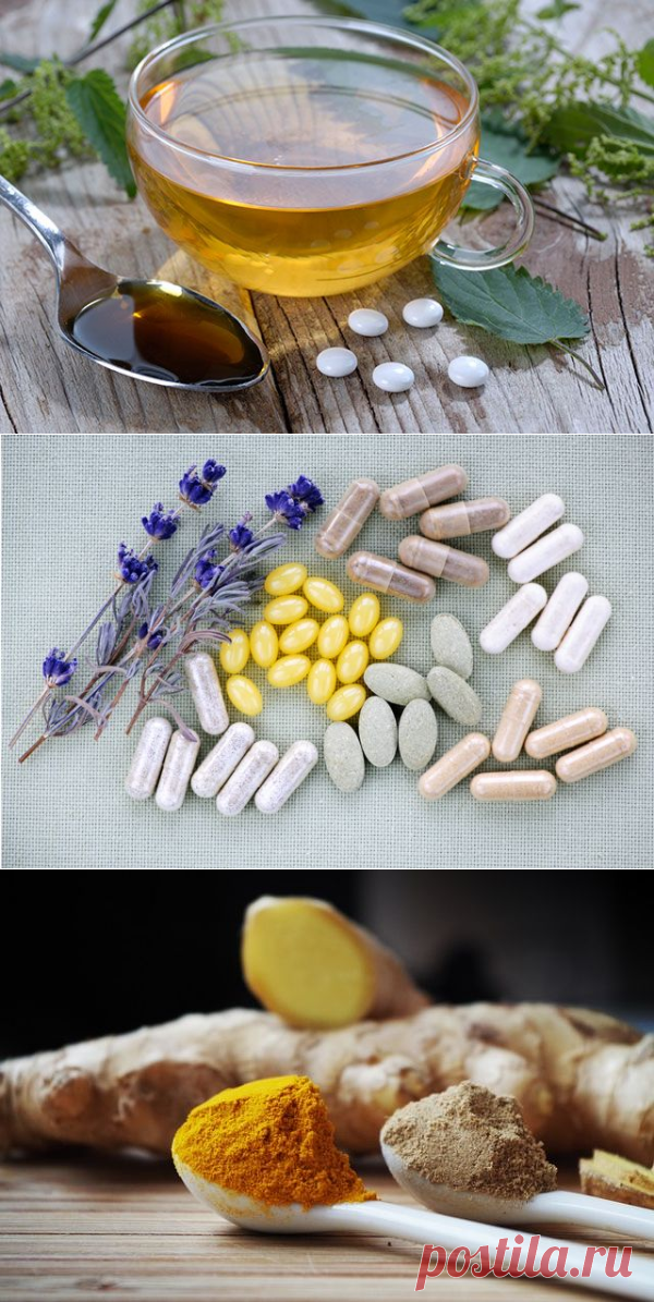 Чай вместо аспирина. Чем можно заменить лекарства? | Здоровая жизнь | Здоровье | Аргументы и Факты