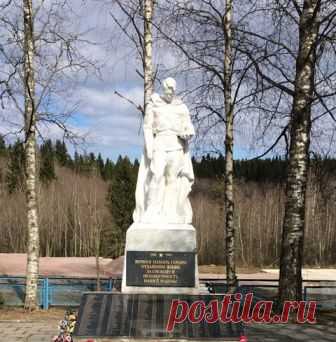 Я не знала войны (Дикая Собака Динго) / Стихи.ру