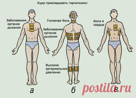 Как правильно ставить горчичники | Хитрости Жизни