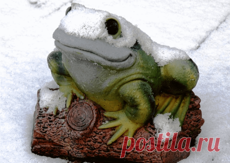 Календарь сезонных работ в саду: декабрь - Planetalsad