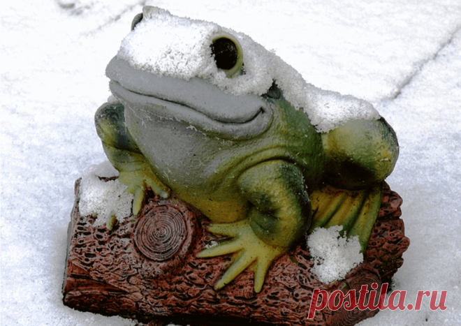 Календарь сезонных работ в саду: декабрь - Planetalsad