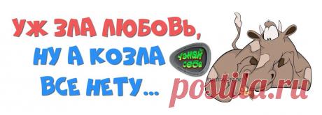 Уж зла любовь,
ну а козла всё нету…

#uznay_seba