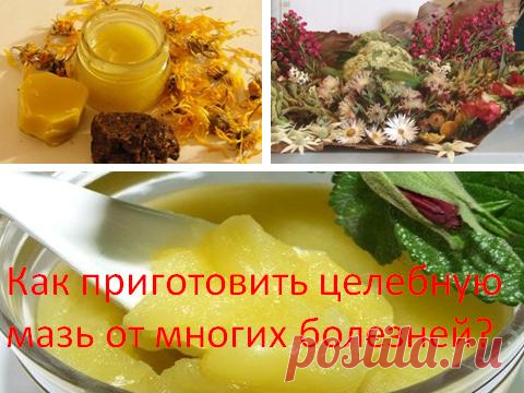 Как приготовить целебную мазь от многих болезней? Мазь, приготовленная собственноручно, всегда будет находиться под рукой и пригодится в нужный момент. Как можно приготовить целебную мазь? Для лечения костей, при воспалении суставов, переломах. Для приготовления мази нам надо: Эмалированная посуда, палочка сосны или ели, старое пожелтевшее сало, очищенное от соли, чага или цветки одуванчика. Поджигаем  приготовленную палочку сосны (ели) и держим над огнем  наше сало так, чтобы капли падали …