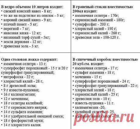 ЛЮБИМЫЕ ЦВЕТЫ на ВАЛГЕ Великий Устюг