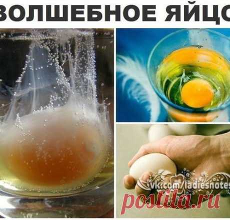 СНЯТИЕ НЕГАТИВА С ЧЕЛОВЕКА И ЛЕЧЕНИЯ НЕСЛОЖНЫХ БОЛЕЗНЕЙ СЫРЫМ ЯЙЦОМ