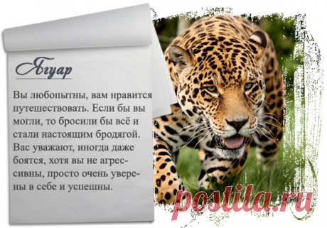 Кто вы в кошачьем царстве?.. Пройдите тест!!!... – Тепло людских сердец, пользователь Александр Шиш | Группы Мой Мир
