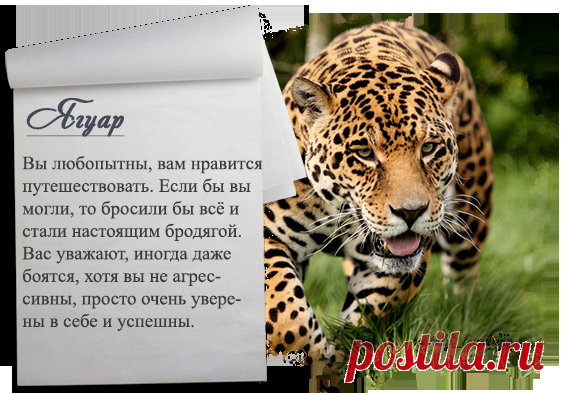 Кто вы в кошачьем царстве?.. Пройдите тест!!!... – Тепло людских сердец, пользователь Александр Шиш | Группы Мой Мир