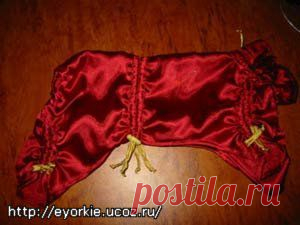 Выкройки одежды для собак - Форум НАШИ ЙОРКИ И ИХ ДРУЗЬЯ