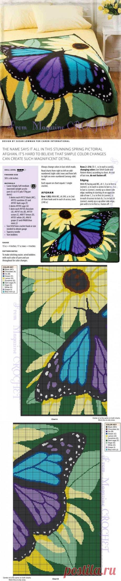 ПОТРЯСАЮЩИЙ ПЛЕД БАБОЧКА. СХЕМЫ