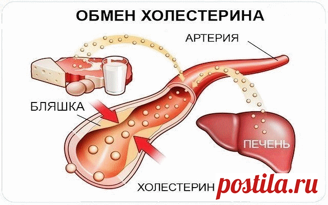 * * * * * * * * * * * *