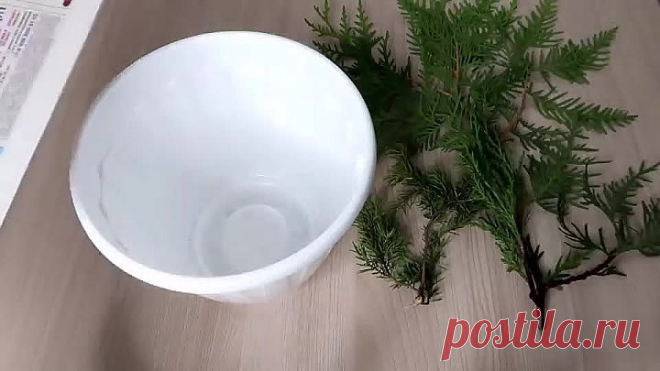 НЕВЕРОЯТНЫЙ СПОСОБ УКОРЕНЕНИЯ любых растений - 
