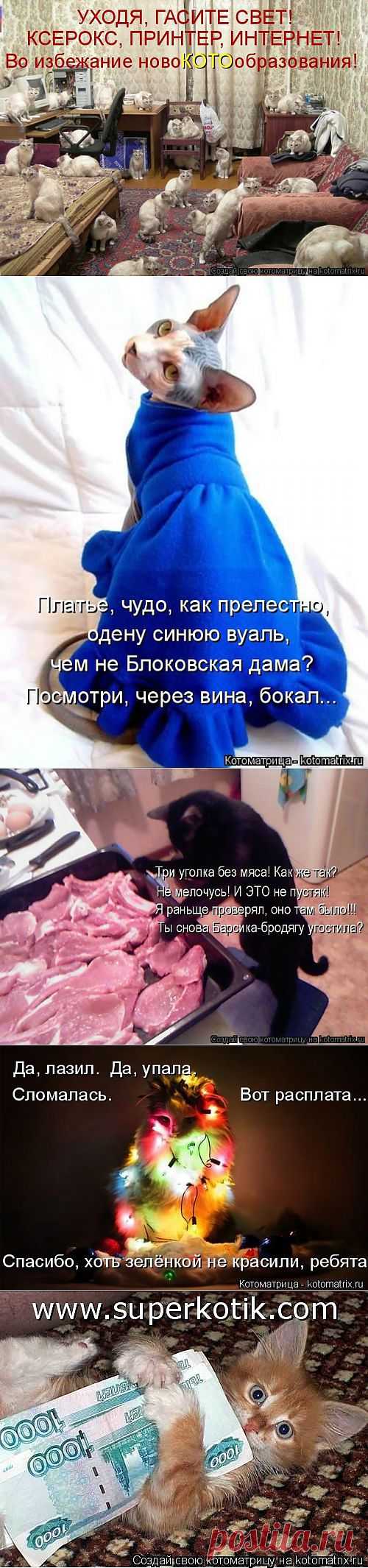 Котоматрица - 2013.