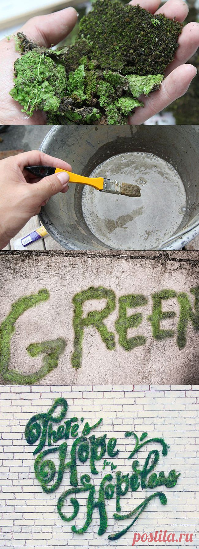 Если смешать мох с йогуртом…